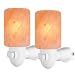 Arvidsson Himalayan Salt Lamp, Salt Lamp Night Light with 4 Bulbs, Natural Crystal Salt Light with ETL Approved Wall Plug for Lighting & Air Purifying -2 Pack
