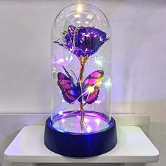 Butterfly Purple Color Light