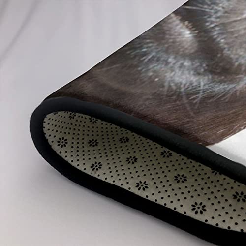 Tapis chèvre pour chambre et salon créant une ambiance cocooning