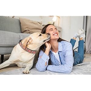 Dog Collars for Small Medium & Large Dogs Stocking Stuffer Long Lasting, Adjustable, Strong Durable Collars for Dogs, Choose from Stunning Patterns and Colors. Red Woven Dog Collar