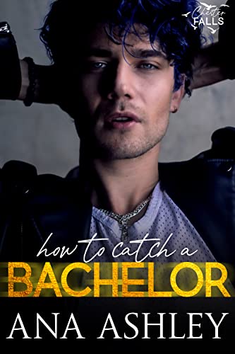 How to Catch a Bachelor: A wake up married MM romance (Chester Falls Book 4)