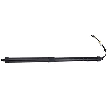 EGIMA J30 サイドバック　ハカランダ合板 IgniSpark 905603JA0A Rear Tailgate Power Hatch Lift Support