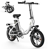 Finbike 16 Zoll E Bike Klapprad, 250W Motor mit Max 60KM PAS Reichweite & 25KM/H EBike, 374.4Wh Akku Elektrofahrräder Step-Thru Commuter E Klapprad für Damen und Herren