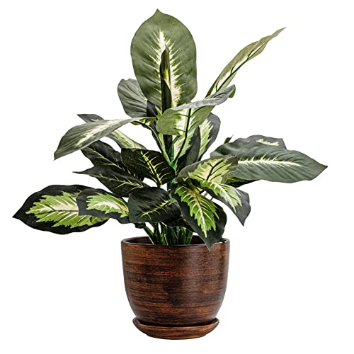 botle Keramiktopf Übertopf Pflanzkübel handbemalt D 305 mm dunkel braun Holtz braun Keramik inkl. Untersetzer Wasserablaufloch