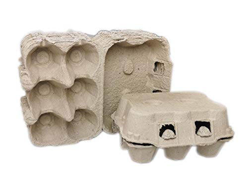 Ingbertson Boîtes à ufs pour ufs de poules sans inscription