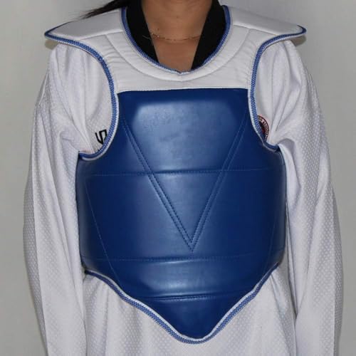 Plastron de taekwondo et boxe bleu taille 5 réversible