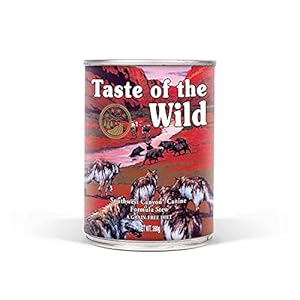 Taste Of The Wild Alimentacion Humeda con Jabali pack de 12 x390 gr Southwest Canyon