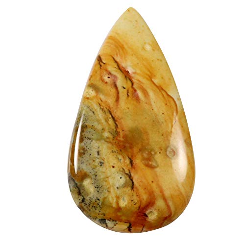 Jaspe américain cabochon de 48,05 carats à monter en pendentif pour un style bohème chic