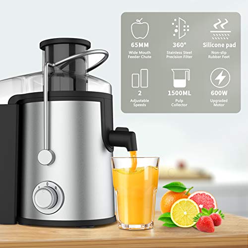 ELEHOT Juicer Machines, Wide Feed Chute Juice Extractor Centrifugal, 600W Dual Speed, Stainless Steel with Non-Slip Feet for Vegetable and Fruits (Sliver)