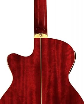Ashton SL29CEDTB アコースティックギター Ashton SL29CEDTB アコースティックギター