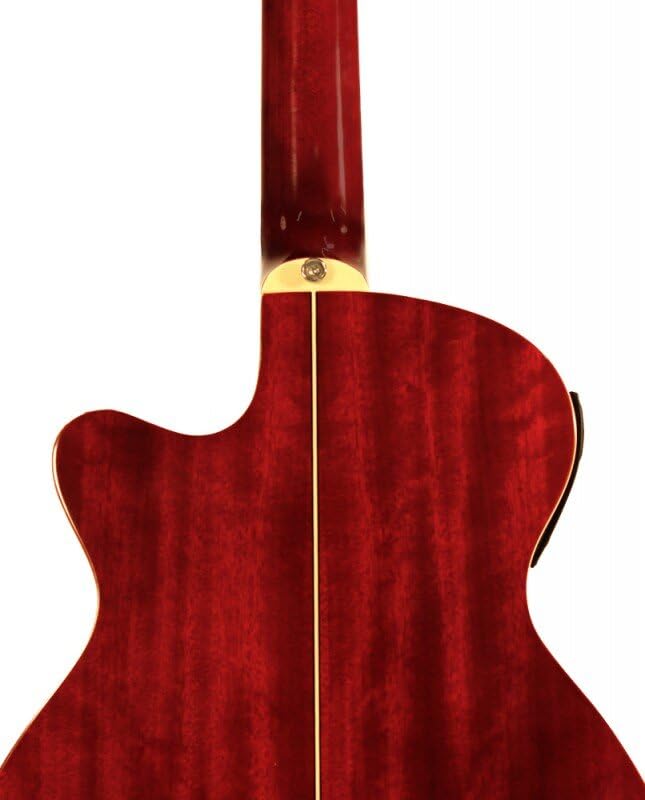 Amazon.com: Ashton SL29/12CEQ 12-String Electro-Acoustic