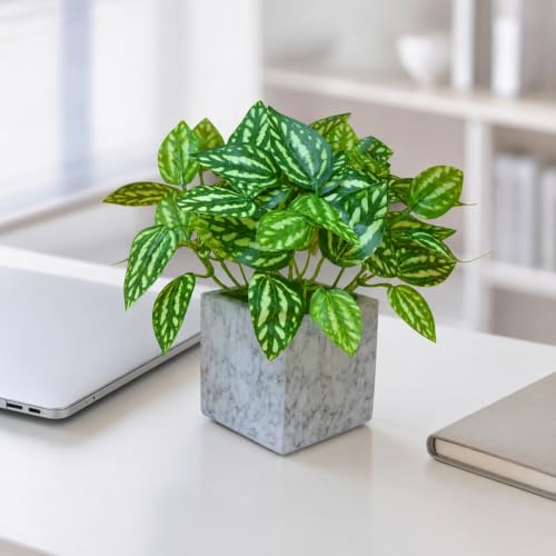 Image of fancymart Artificial Plant with Real-Touch Leaves in Pot, 25 cm, Indoor Tabletop Item for Home Decor, Office, Living Room