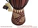 JIVE BRAND Djembe Drum Bongo Congo African Wood Drum Professional Quality With Heavy Base/Includes Drum Key Chain (12