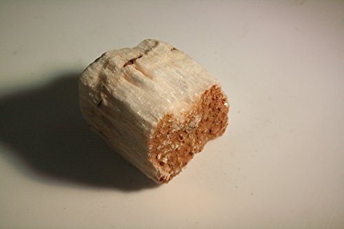 White Fibrous Gypsum: Selenite Satin Spar - 10 Pieces of Mineral