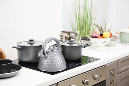 Promis Wasserkocher TMC14G Grau Stahl 3 l