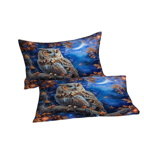 Housse de couette forêt sauvage parure lit double microfibre chouette
