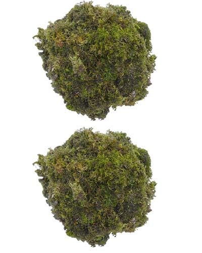 DR ARYA Natural Dried Moss Grass Preserved for Pots with The Nice Green Appearance for Home and Garden - 5 KG (B0C9Q6185G) Amazon Price History, Amazon Price Tracker