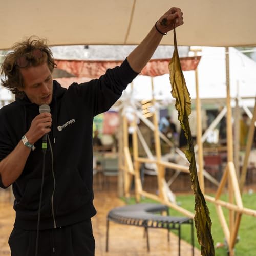 35. Dansk tang og havets regenerative potentiale Simon Weber