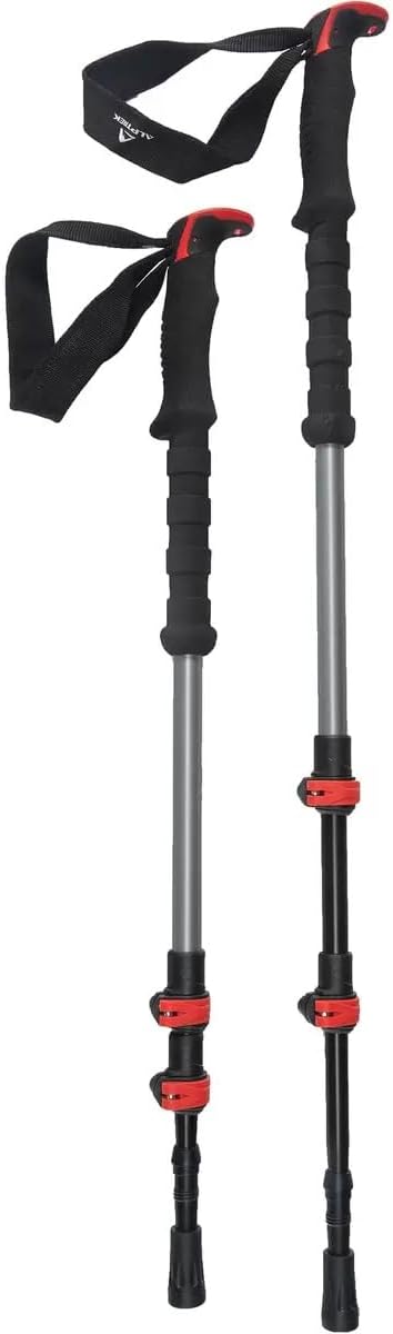 Pro Snowshoe Sawtooth Grip. Adjustable Poles, and carring case.