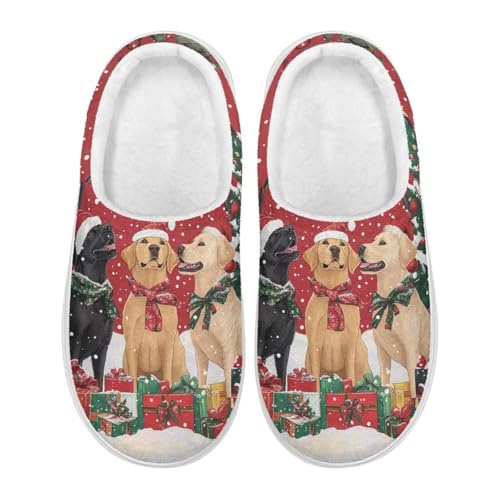 Slippers for Women Indoor and Outdoor Comfortable Plush Fluffy Cotton House Slippers Winter Shoes for Women