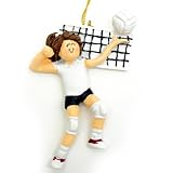Ornament Central OC-087-FBR Volleyball Player Ornament