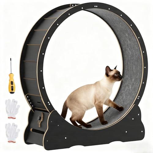 91cm /100cm Katzenlaufrad für Indoor-Katzen, großes Katzenlaufband mit abnehmbarem Teppich & Schloss, Katzenrad für Gewichtverlust & Gesundheit,...