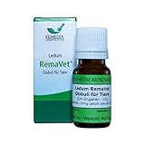 REMEDIA Homöopathie GmbH