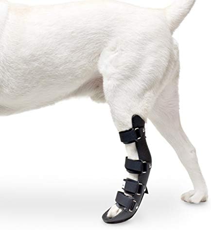 Walkin' Pet Splint for Dogs | Dog Rear Foot Splint Helps Brace Lo...