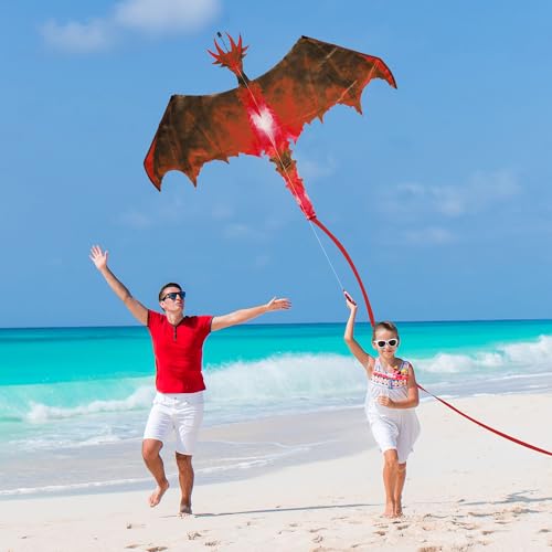 Mejores review On-line Cometa dragón al mejor precio. 28 Imagen adicional