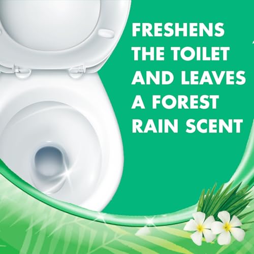 Image of Lysol Toilet Bowl Cleaner Gel, For Cleaning and Disinfecting, Stain Removal, Forest Rain Scent, 24oz (Pack of 2)
