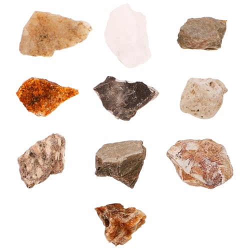 Cabilock Educational Rock Specimen Set 10 Pieces Mineral Stones Ornaments for Boys and Girls Decorative Stones