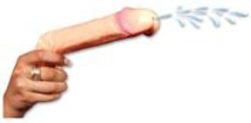 Miniatura 2 de Pistola de agua Dicky