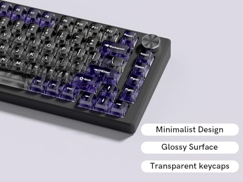 Image of dagaladoo Clear keycaps,Transparent Keyboard keycaps,Jelly Key caps Set,Shine Through keycap,MDA Profile Keyboard caps for Mx Switches Mechanical Keyboard (Grey and Purple)