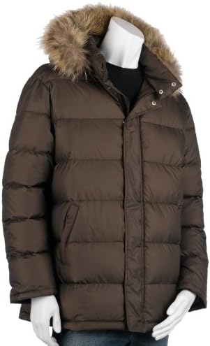 bear bubble coat