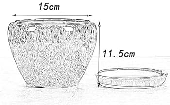 落鑑有り　植木鉢 1/24]プランター入荷 | 四歩（しっぽ） | 吉祥寺 | お食事と日用品