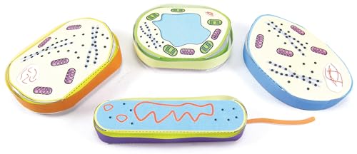 Image of NewPath Cell Structure 3-D Model Making Kit, Set /5 Full-Color, Paper Model Templates & Teachers Guide (24-7739)
