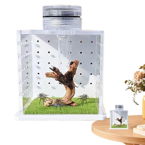 Jaula de lagarto, tanque de tortuga transparente, pequeño terrario de hábitat de mantis religiosa, caja de cría con humidificador de luz para arañas saltarinas, árboles pequeños, reptiles que viven en