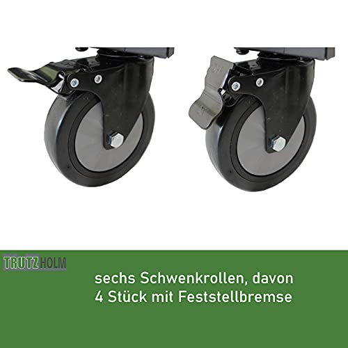 TRUTZHOLM Werkstattwagen Mobile Werkbank Deluxe XXL 20 Schubladen Werkzeugwagen Rollwagen 6 Schubladen 254 TLG. bestückt – Bild 8