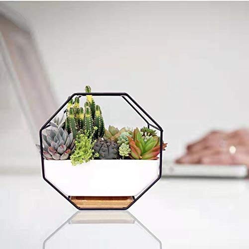 EssenceLiving Geometric Wall Planter, 7" Octagon Geometric Planter,...