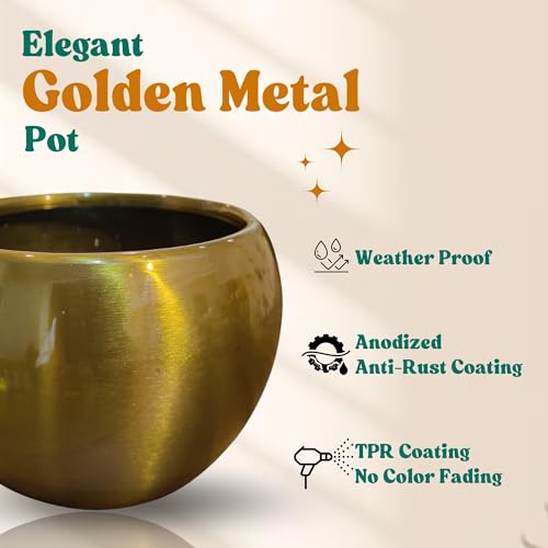Image of Amulya FARMS Lucky Bamboo Mini 2 Layer Plant in Golden Metal Pot | Indoor Live Bamboo Plants for Home Decor, Living Room, Office, Desk Decoration | Vastu & Feng Shui Good Luck Plant