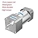 AC 110V 180W Motor + Gear Box (10K) + Speed Controller, Single Phase Electric Motor with High Torque, Variable Speed Motor, Reversible Gear Motor