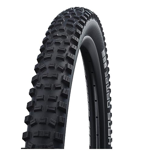 Schwalbe Hans Dampf Performance pneu VTT idéal pour sorties en forêt 60-507