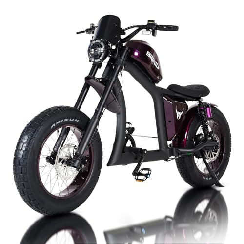 BIGNIU BG-X Electric Bike for Adults,1500W Brushless Motor 48V/31.5Ah Up to 40 Miles E-Bike Front/Rear Turn Signal Dual Suspension Ebikes