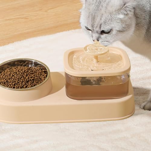 Alimentador de gatos senior y kit de alimentación de agua para cachorros 4