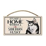 Imagine This Wood Sign for Siberian Husky Dog Breeds