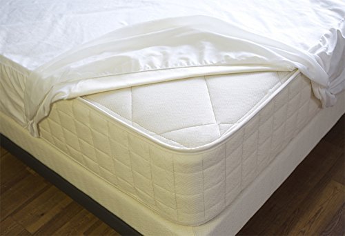 BNYD Vinyl Mattress Cover Protector (Full)
