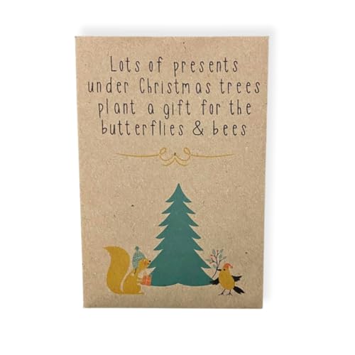 Christmas Wildflower Seed Packets (Pack of 10) â€“ Eco 