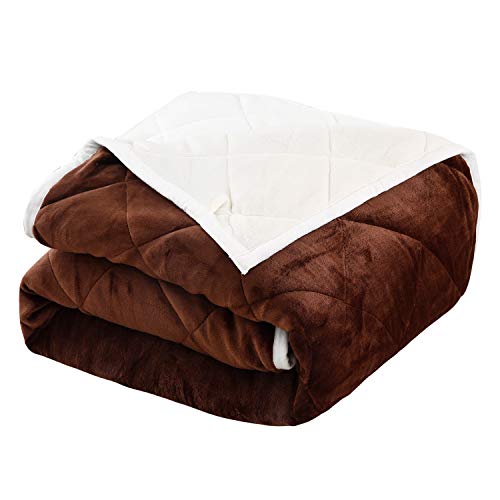 クモリ 毛布 ブラウン クイーン/キング 220X200cm 吸湿発熱