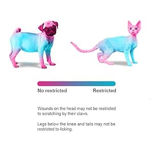 Pet-Adjustable-Recovery-Collar-Recovery-Protective-Pet-Cone-Wound-Healing-Protective-Soft-Edge-for-PetsKittenCatsSmall-Dogs - Cucciolini Doodles   Pet-Adjustable-Recovery-Collar-Recovery-Protective-Pet-Cone-Wound-Healing-Protective-Soft-Edge-for-PetsKittenCatsSmall-Dogs