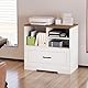LVB Holz Aktenschrank